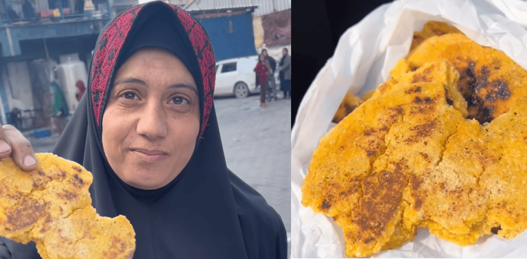 فلسطينية تعرض ما تأكله وأولادها وتخاطب العرب: هل أنتم مرتاحون؟(فيديو) فلسطينية تعرض ما تأكله وأولادها وتخاطب العرب إن كانوا سعداء ومرتاحين لهذا الحال