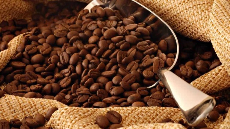 غلاء أشهر مشروب في مصر يثير غضب المواطنين: "هل سيصبح البن من الممنوعات؟"