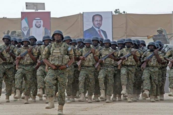 التواجد الإماراتي في الصومال