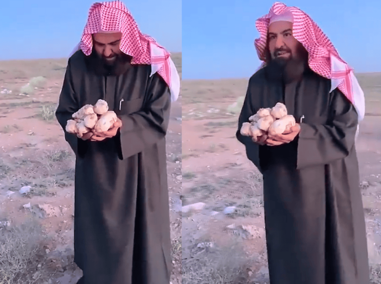 الشيخ عبدالرحمن السديس يجمع الفقع دون مراعاة لمشاعر أهالي غزة الجوعى