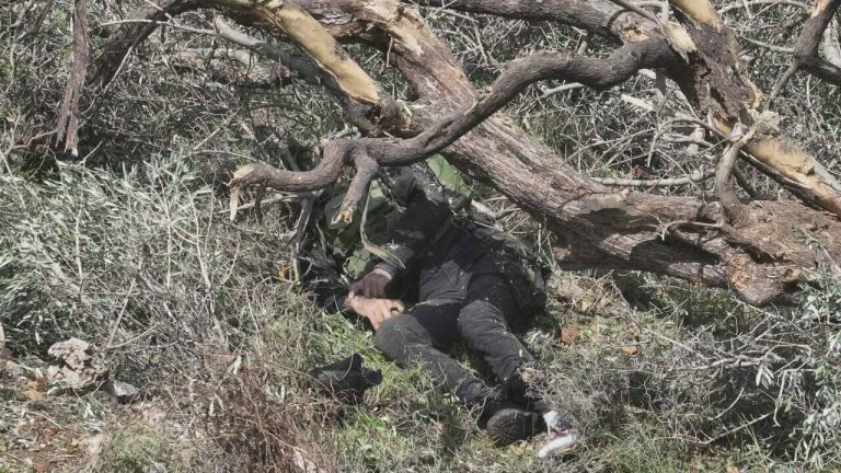 الشهيد مجاهد منصور منفذ عملية دوليف