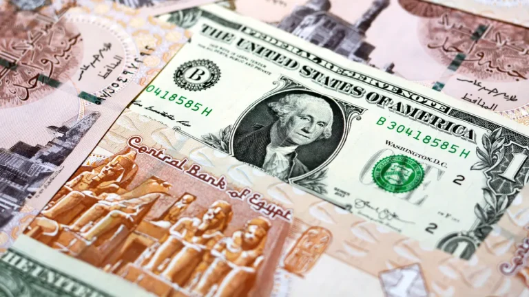 مصر.. مفاجأة بشأن سعر الدولار في السوق السوداء بعد التعويم مصر.. مفاجأة بشأن سعر الدولار في السوق السوداء بعد التعويم