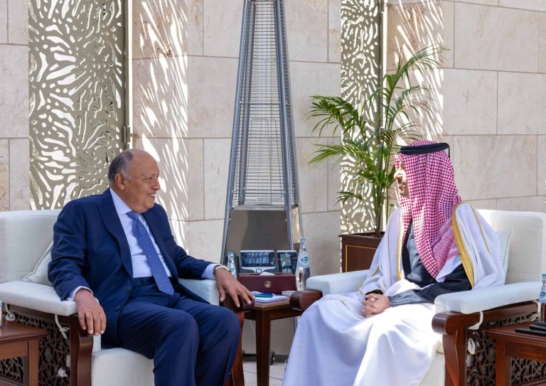 سامح شكري في قطر