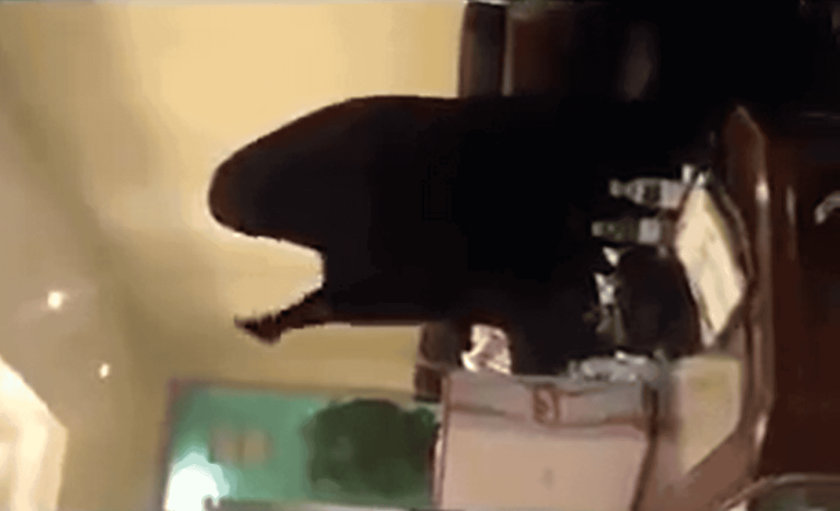 اعتداء جنسي وتعذيب.. سعودية تكشف ما يجري للنساء داخل معتقلات ابن سلمان (فيديو) اعتداء جنسي وتعذيب.. سعودية تكشف ما يجري للنساء داخل معتقلات ابن سلمان