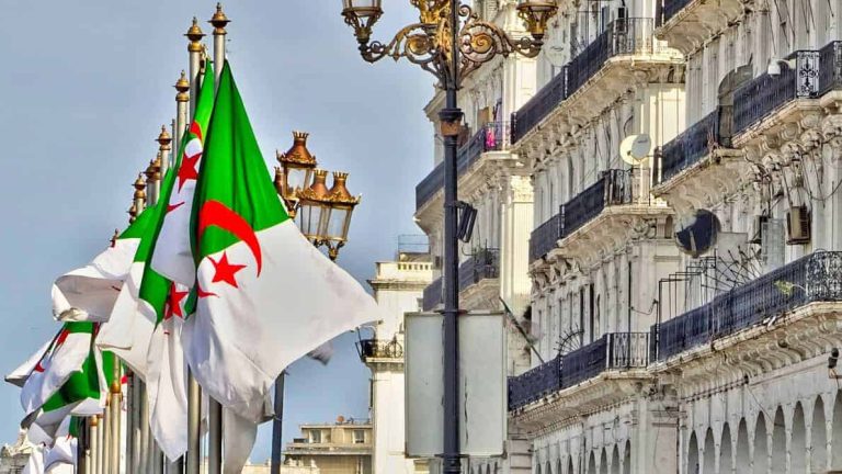 الجزائر تتفوق على المغرب لتصبح ثاني أكبر دولة بإفريقيا في هذا المجال إنتاجا للحبوب.. الجزائر تتفوق على المغرب لتصبح ثاني أكبر دولة في إفريقيا