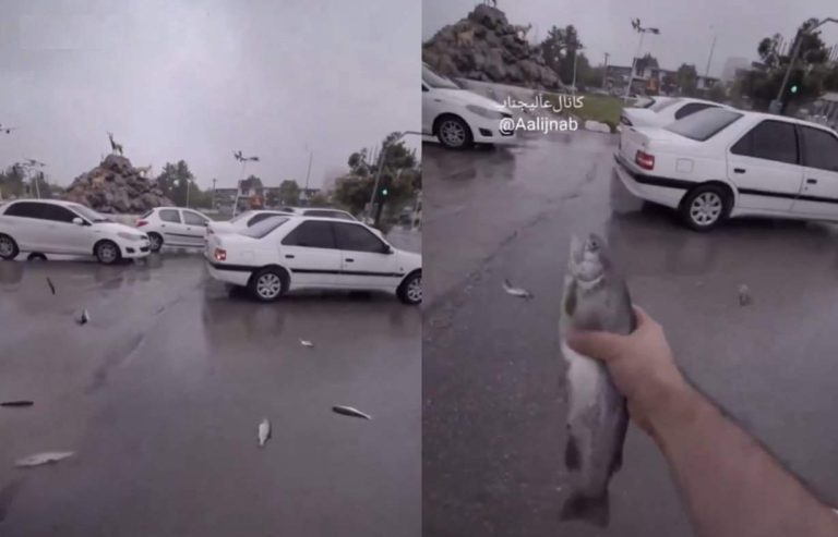 ظاهرة حيّرت العلماء .. تساقط أسماك من السماء في إيران! (فيديو) تساقط أسماك من السماء في إيران