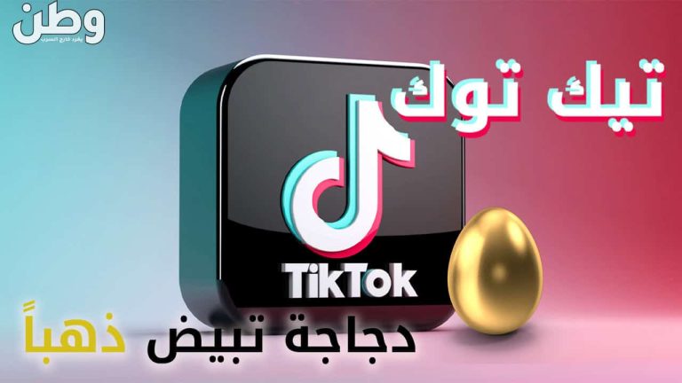 تيك توك