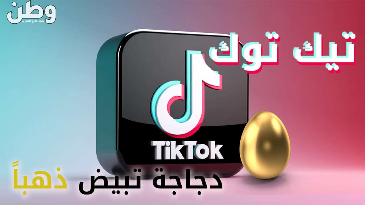 تيك توك.. حل للثراء السريع وأصاب الشباب بالجنون تيك توك