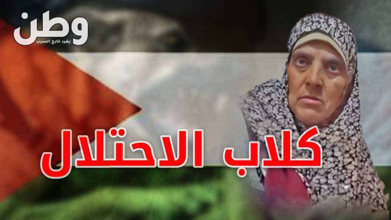 كلاب الاحتلال