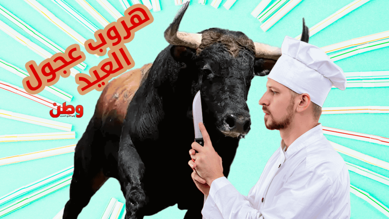 طرائف العجول الهاربة في عيد الأضحى.. مواقف لا تُنسى على منصات التواصل هروب عجول العيد