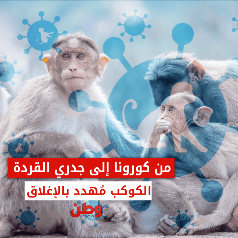 جدري القرود