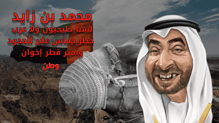 محمد بن زايد