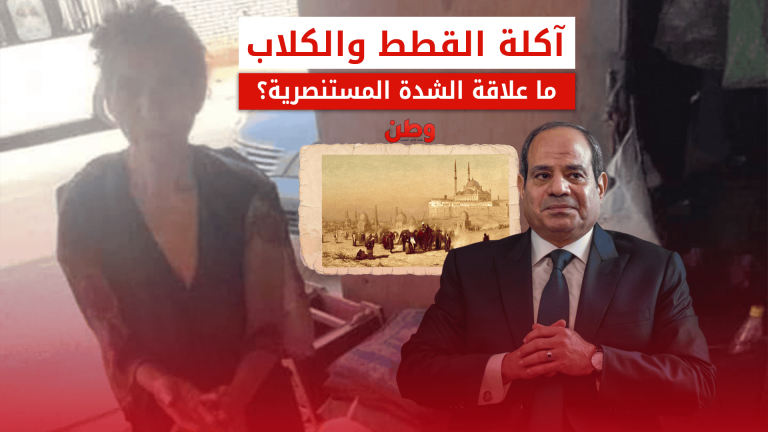 فيديو سيدة مشردة تأكل القطط والكلاب يثير جدلًا واسعًا في مصر سيدة مشردة تأكل القطط والكلاب في مصر