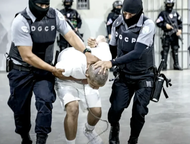 ترحيل في صمت: إدارة ترامب ترسل 238 فنزويلياً إلى سجن خطير في السلفادور دون محاكمة “فيديو” ترحيل مهاجرين فنزويليين إلى السلفادور دون محاكمة