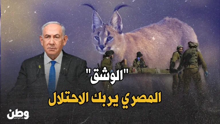 هجوم الوشق المصري على جنود الاحتلال